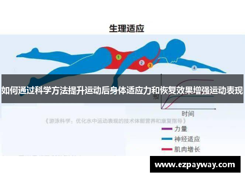 如何通过科学方法提升运动后身体适应力和恢复效果增强运动表现